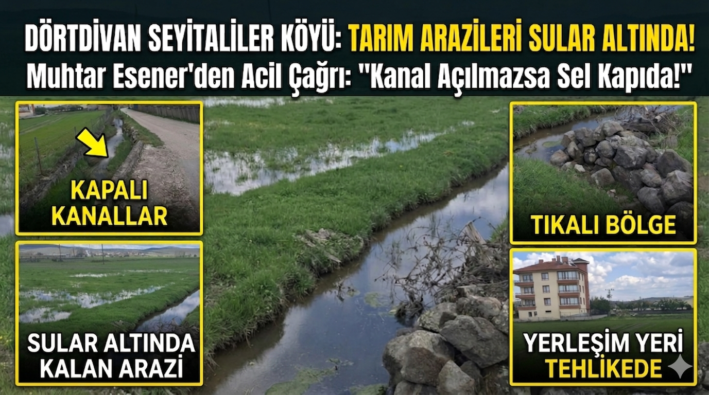Dörtdivan Seyitaliler Köyünde tarım arazileri göle döndü; Muhtar esener’den acil çağrı