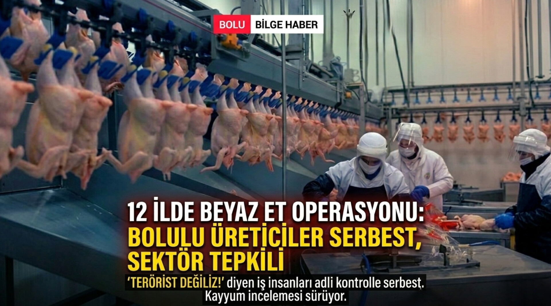 12 İlde Beyaz Et Operasyonu: Bolulu Üreticiler Serbest Bırakıldı, Sektör Tepkili