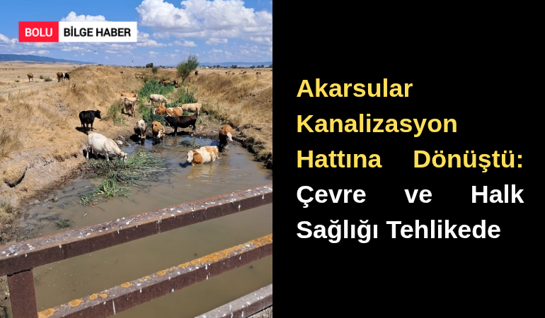Akarsular Kanalizasyon Hattına Dönüştü: Çevre ve Halk Sağlığı Tehlikede