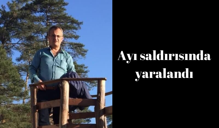 Ayı saldırısında yaralandı