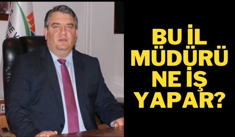 Bu İl Müdürü ne iş yapar?