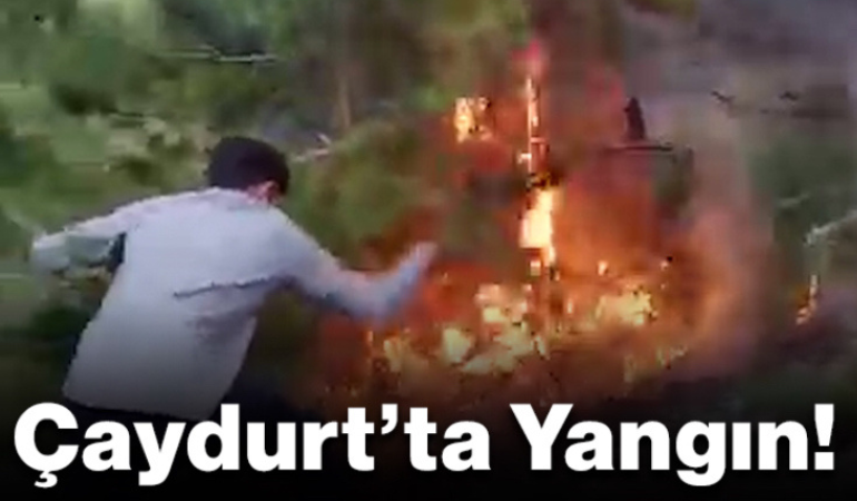 Çaydurt’ta Yangın