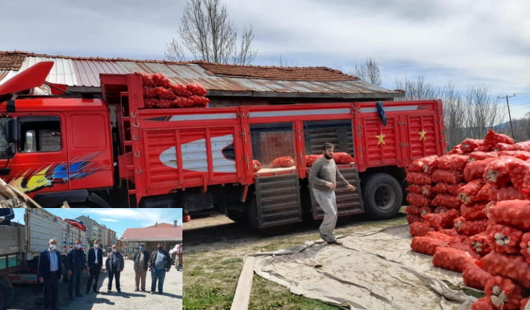 Dörtdivan'dan patates alımları başladı