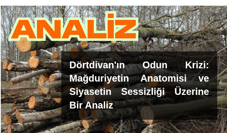 Dörtdivan'ın Odun Krizi: Mağduriyetin Anatomisi ve Siyasetin Sessizliği Üzerine Bir Analiz