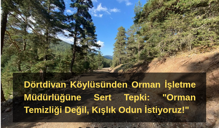 Dörtdivan Köylüsünden Orman İşletme Müdürlüğüne Sert Tepki: "Orman Temizliği Değil, Kışlık Odun İstiyoruz!"