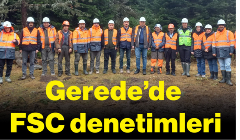 Gerede’de FSC denetimleri