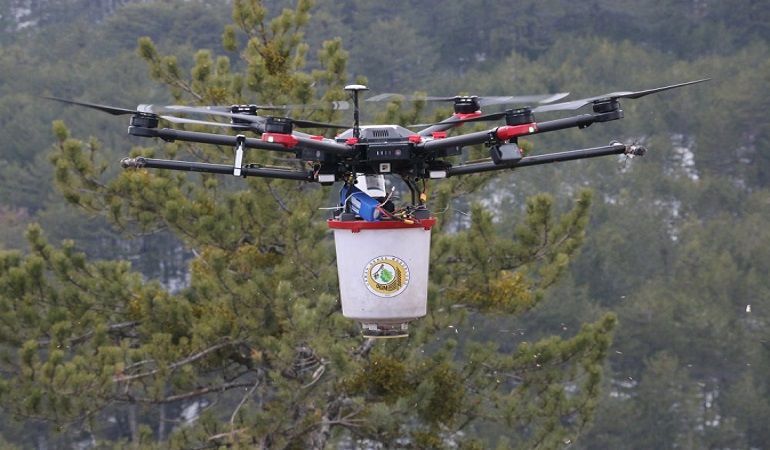 Karaçam tohumları drone ile toprağa kavuştu