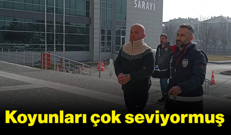 Koyunları çok seviyormuş