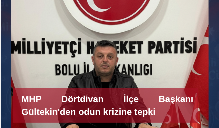 MHP Dörtdivan İlçe Başkanı Gültekin'den odun krizine tepki