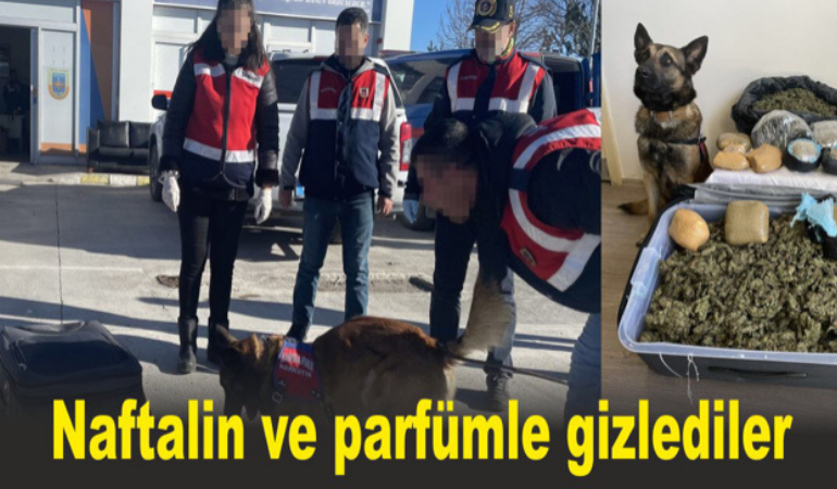 Naftalin ve parfümle gizlediler