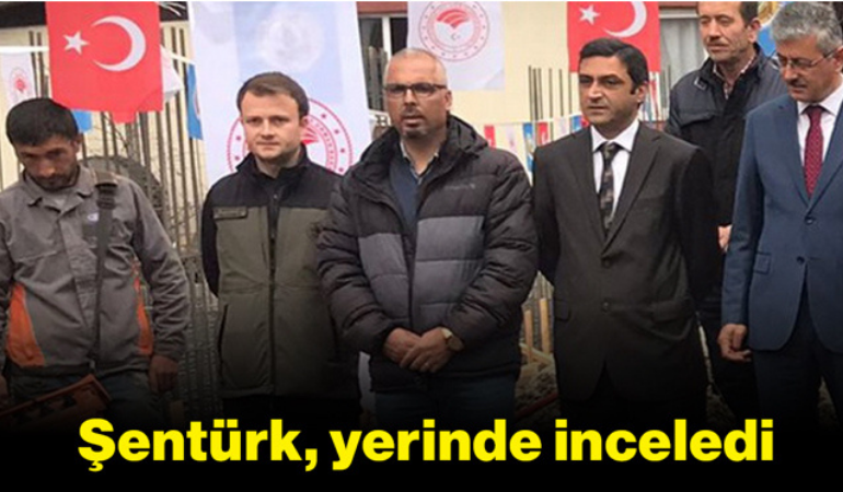 Şentürk, yerinde inceledi