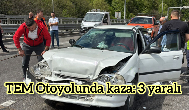 TEM Otoyolunda kaza: 3 yaralı